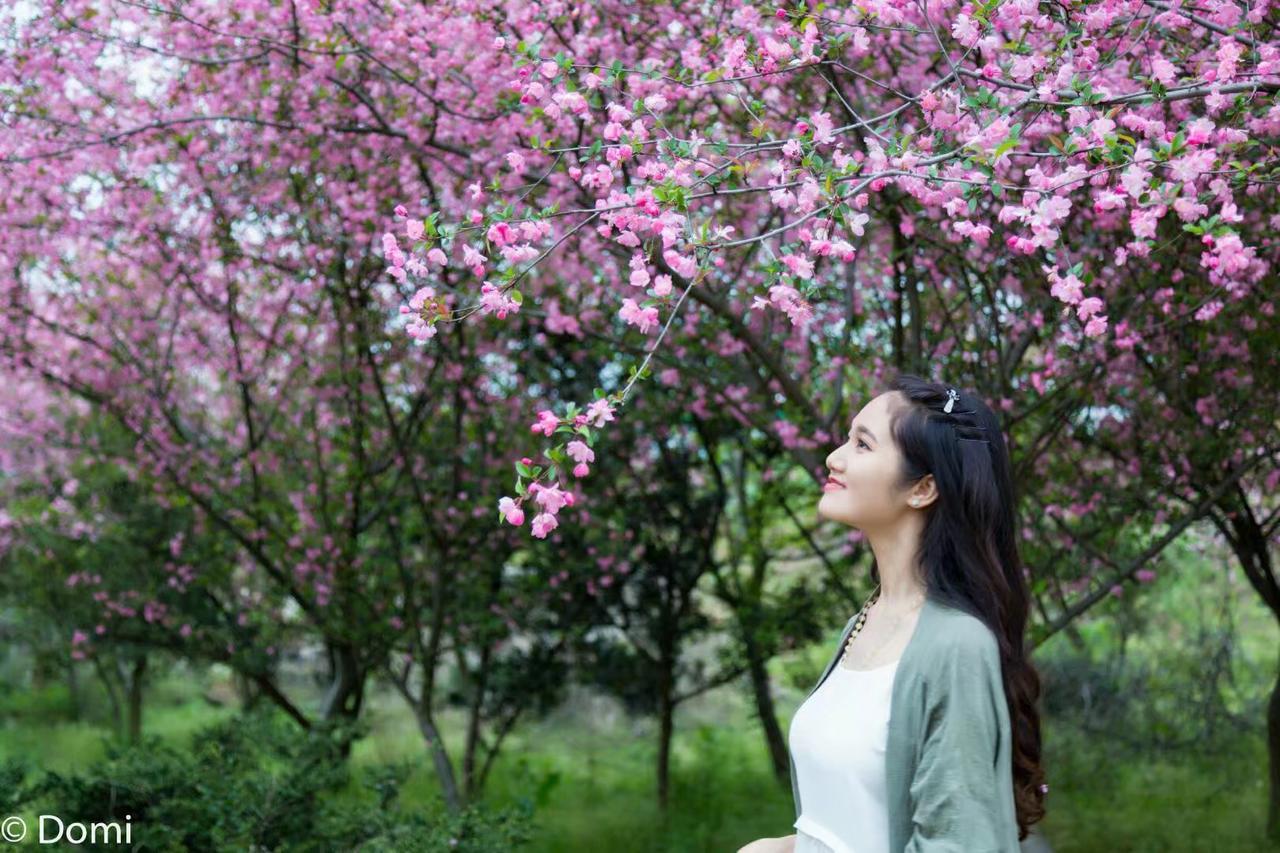 Mogan Mountain Xiaomusensen Villa Deqing ภายนอก รูปภาพ