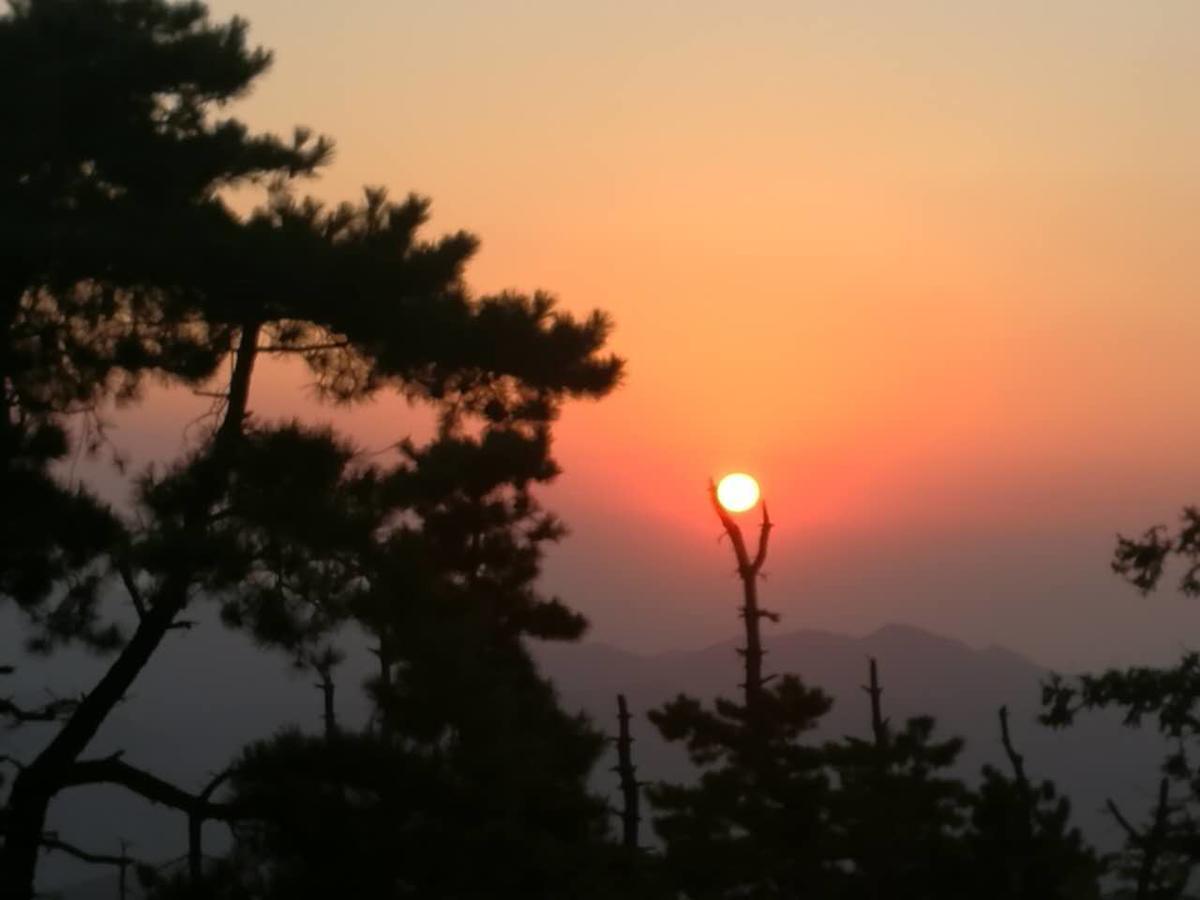 Mogan Mountain Xiaomusensen Villa Deqing ภายนอก รูปภาพ
