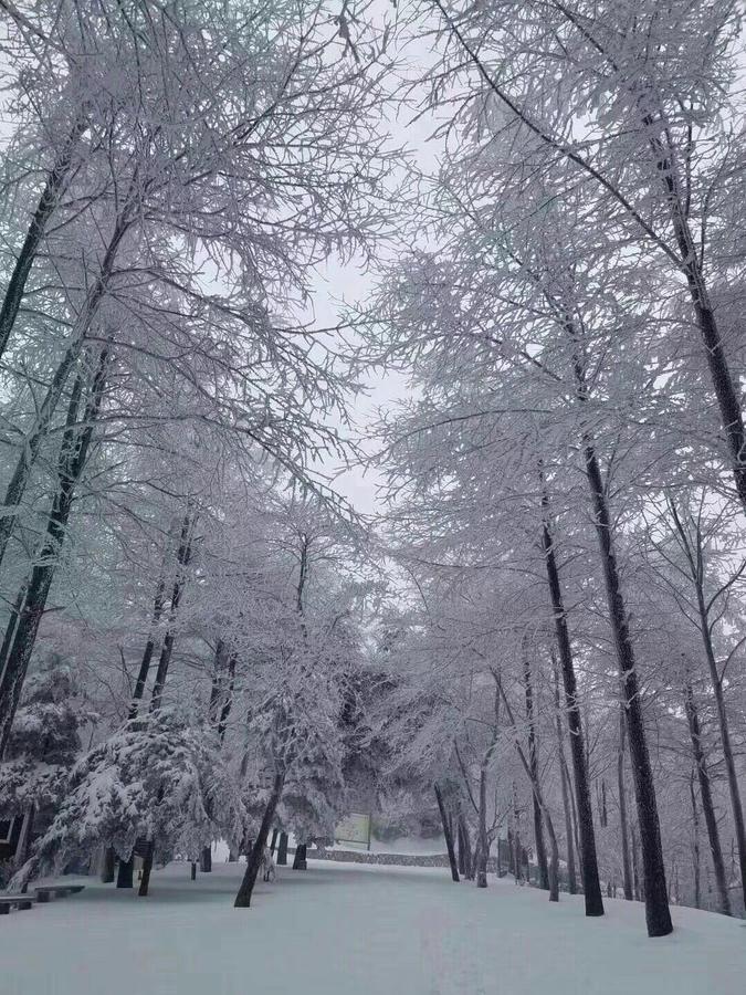 Mogan Mountain Xiaomusensen Villa Deqing ภายนอก รูปภาพ