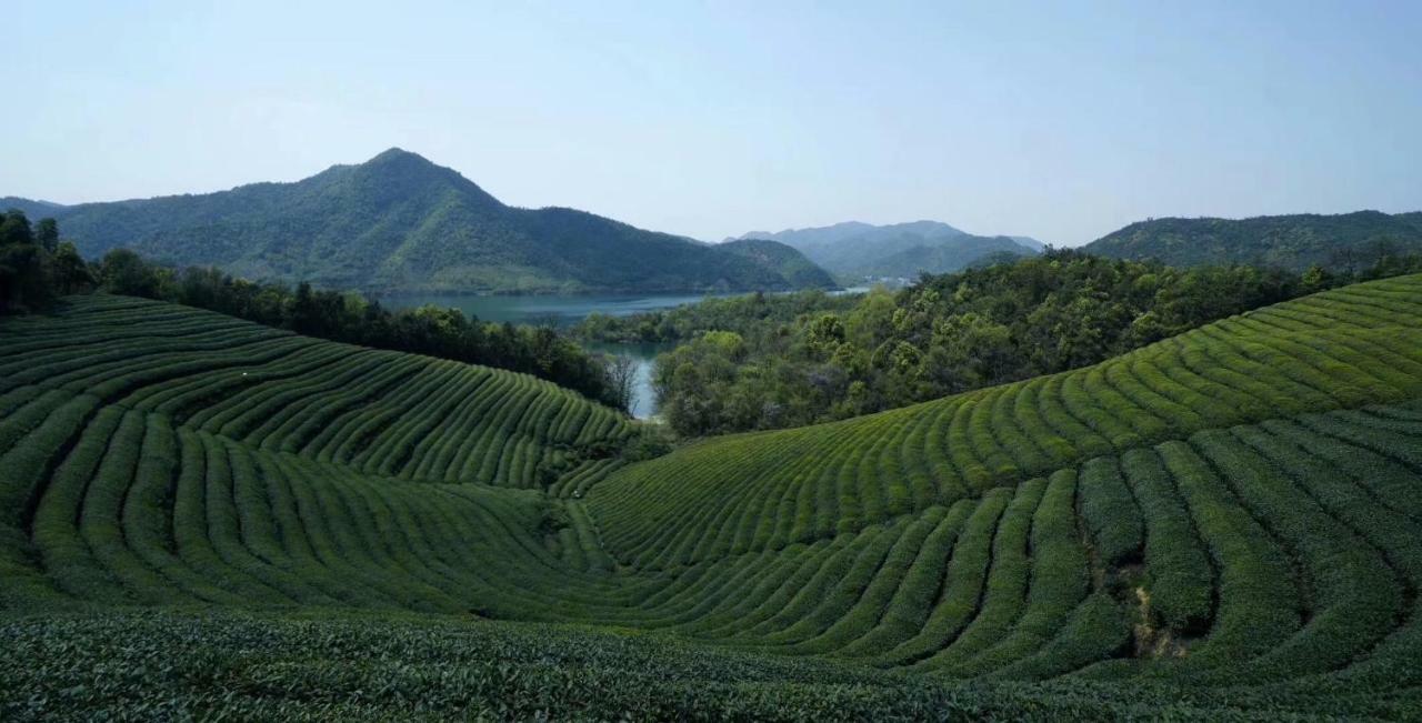 Mogan Mountain Xiaomusensen Villa Deqing ภายนอก รูปภาพ